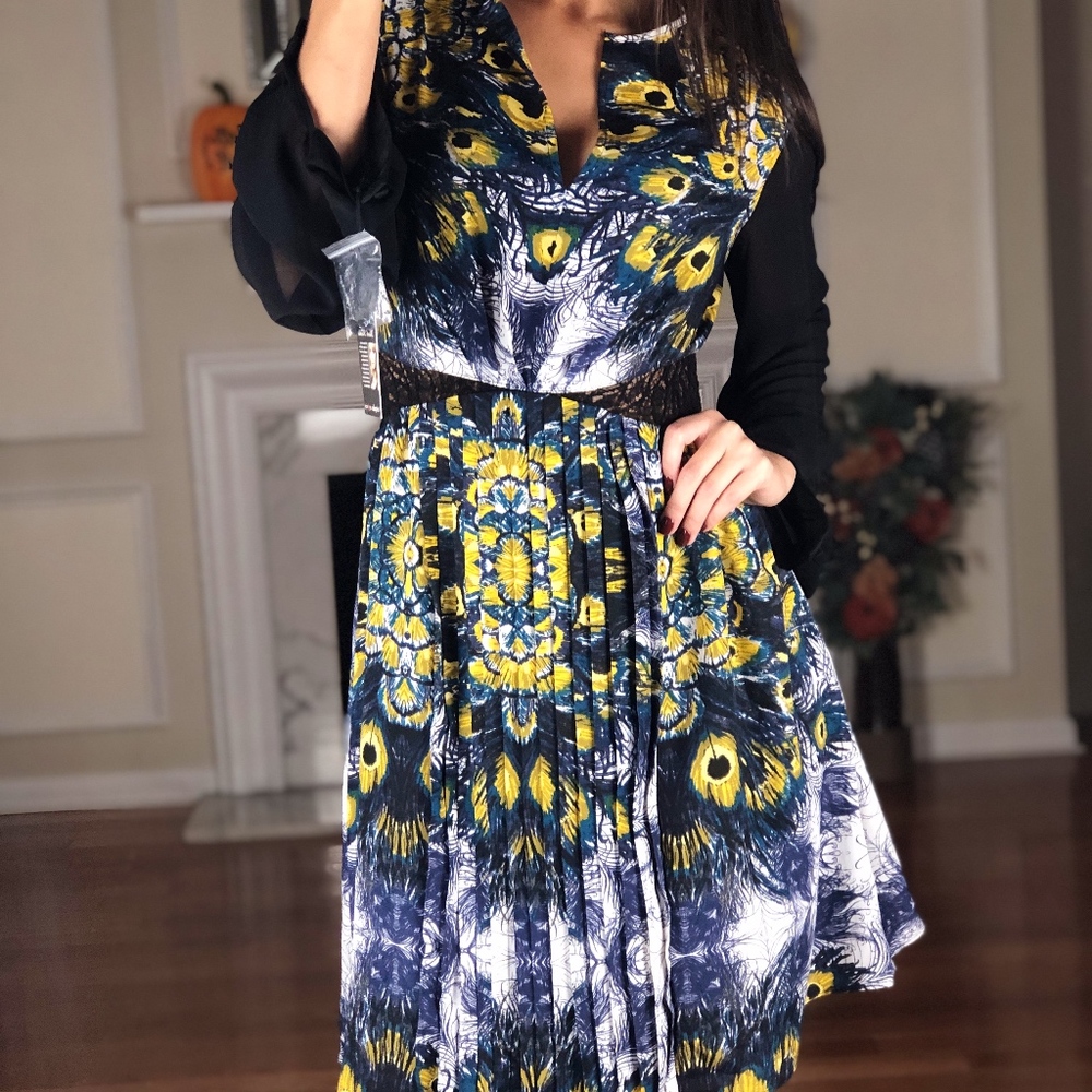 Nicole Richie Peacock Design Career Dress, Size 6
